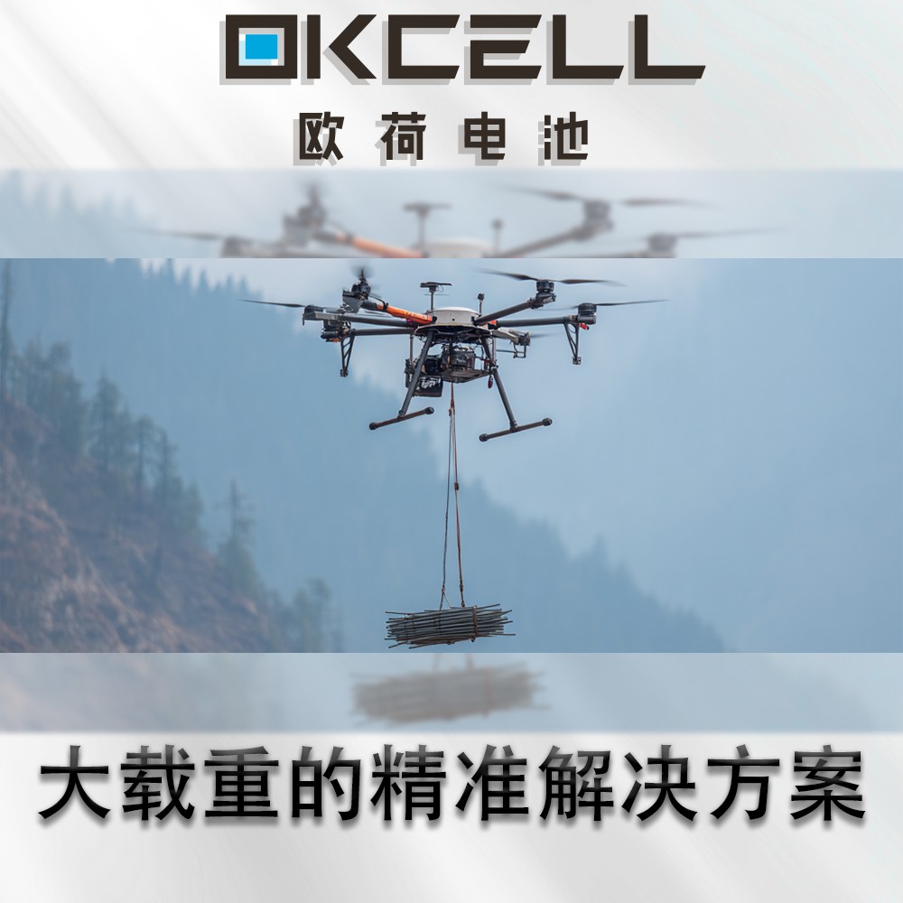 大载重伙伴：为您的无人机提供精准动力