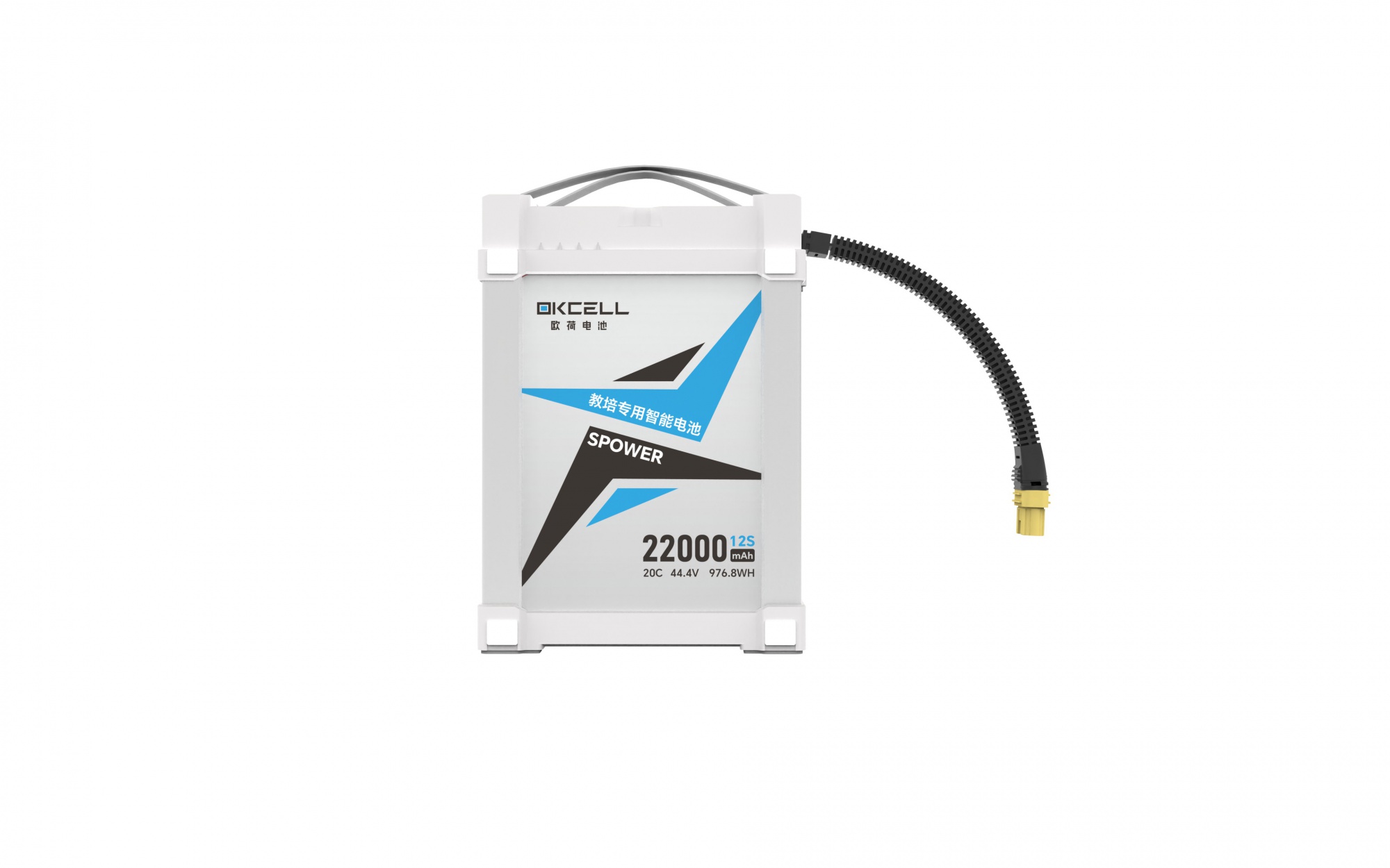 教培专用智能电池--12S22AH