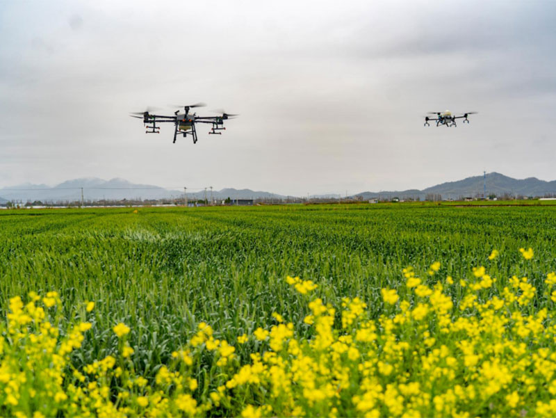 Plant protection season is busy, take you to visit the OKCELL drone intelligent battery warehouse delivery site