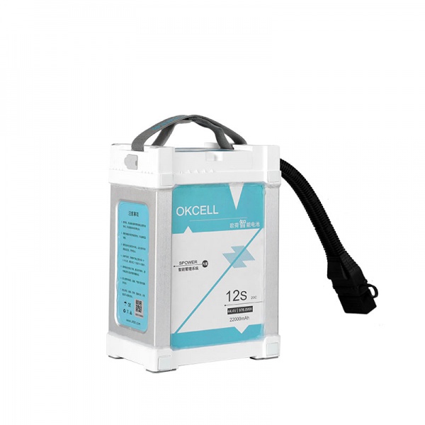 12S22Ah smart battery