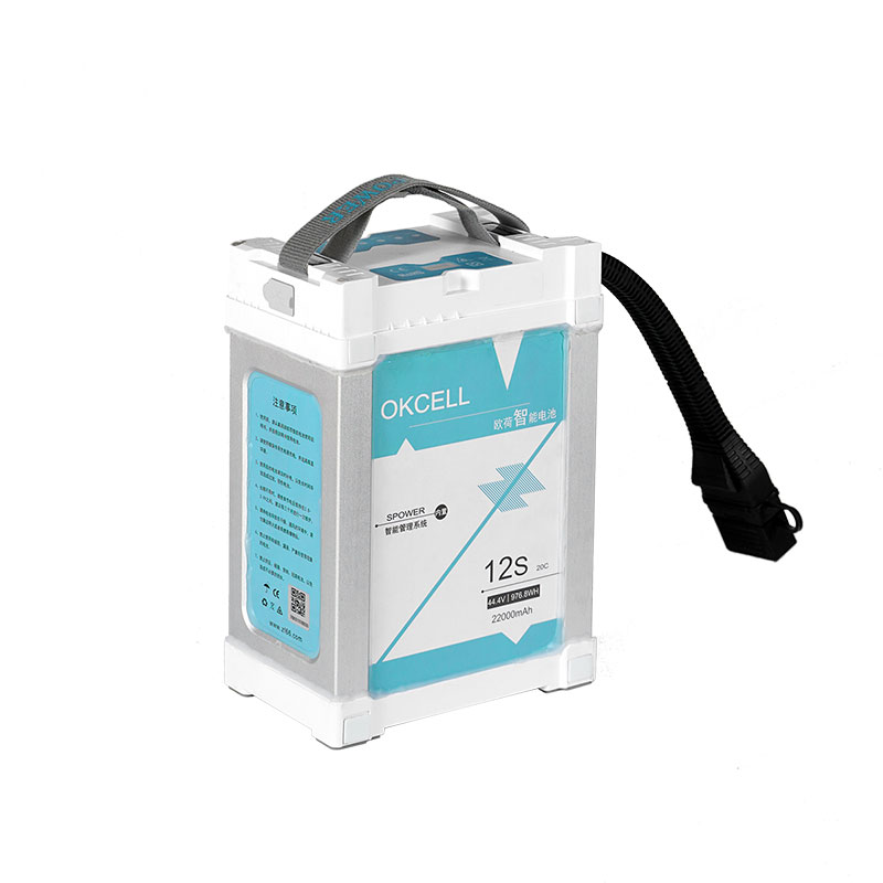 12S22Ah smart battery