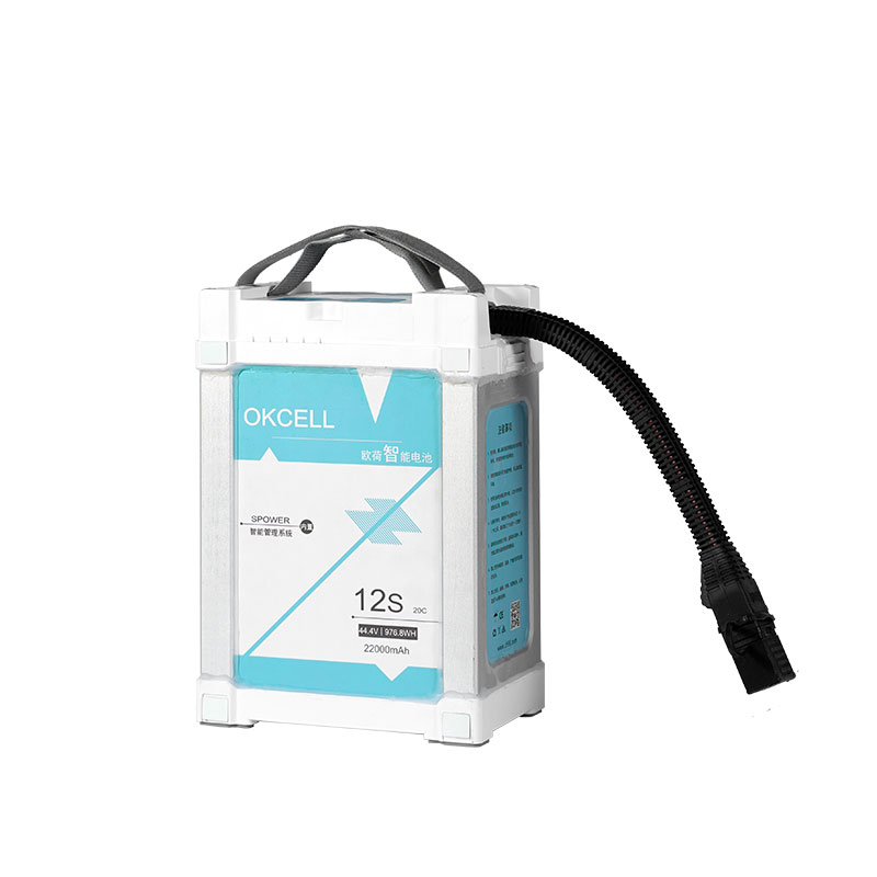 12S22Ah smart battery