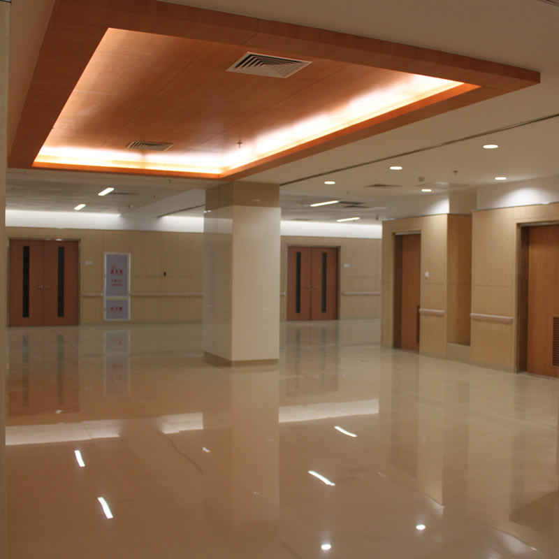 Dongguan Taishin Hospital Industrial Co., Ltd.
