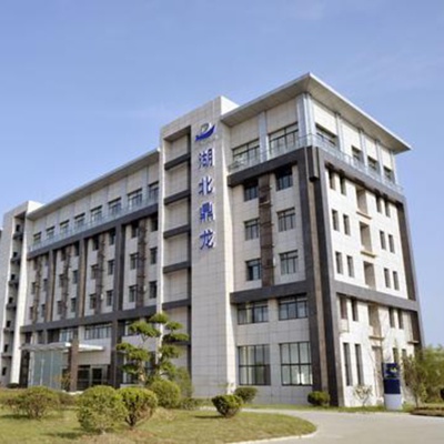 湖北鼎龙控股股份有限公司