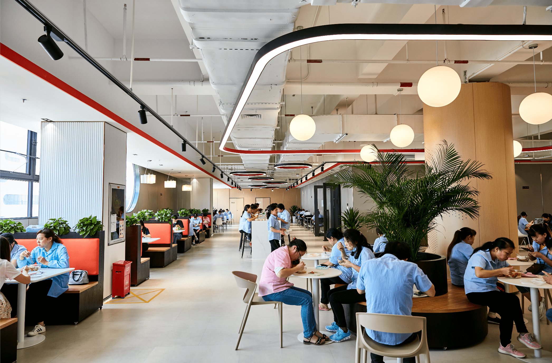 图片展示