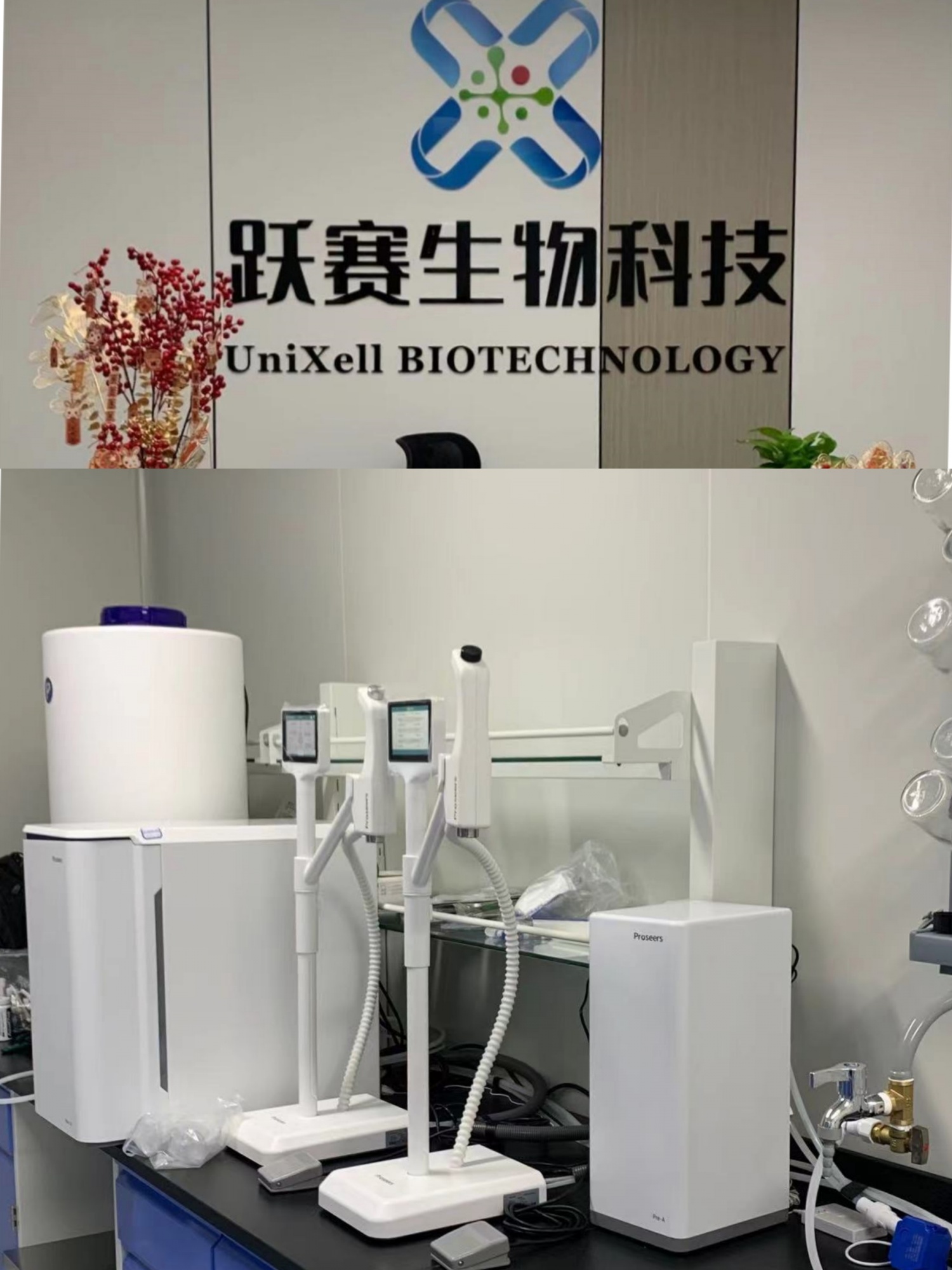 跃赛生物