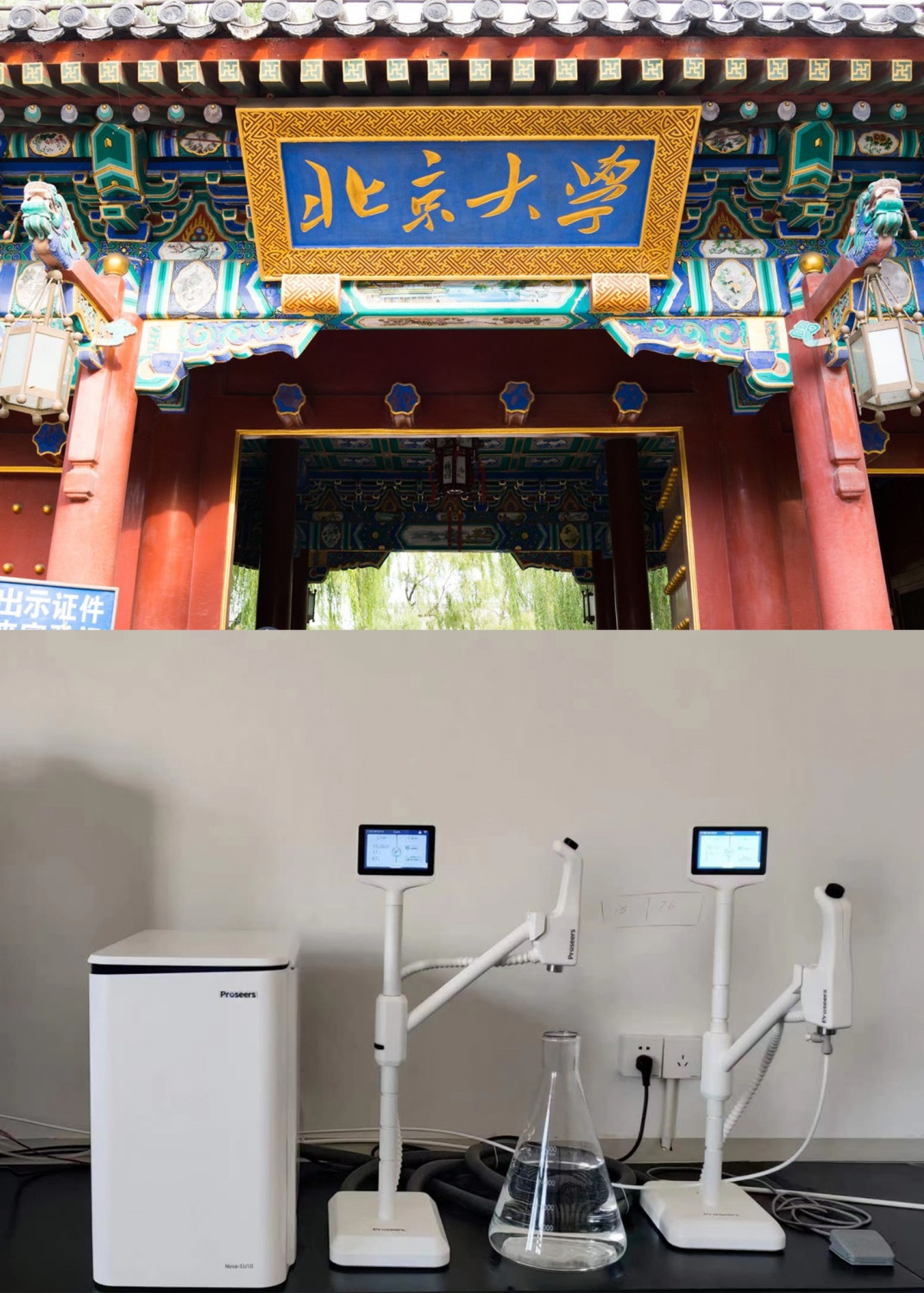 北京大学
