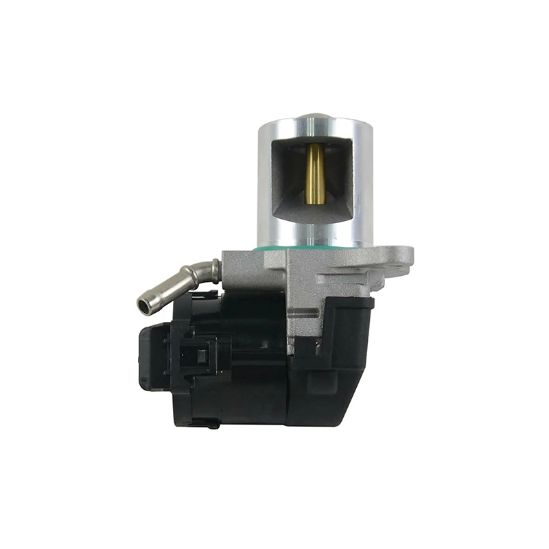 Auto Exhaust Gas Recirculation Egr Valve Replacement