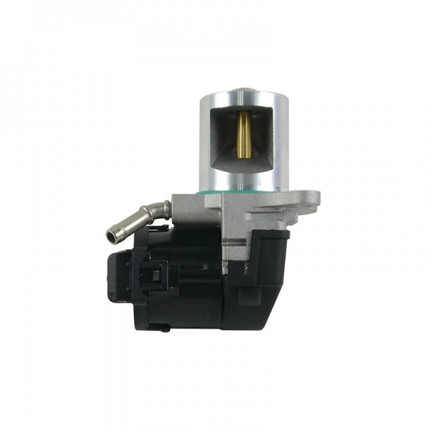 Auto Exhaust Gas Recirculation Egr Valve Replacement