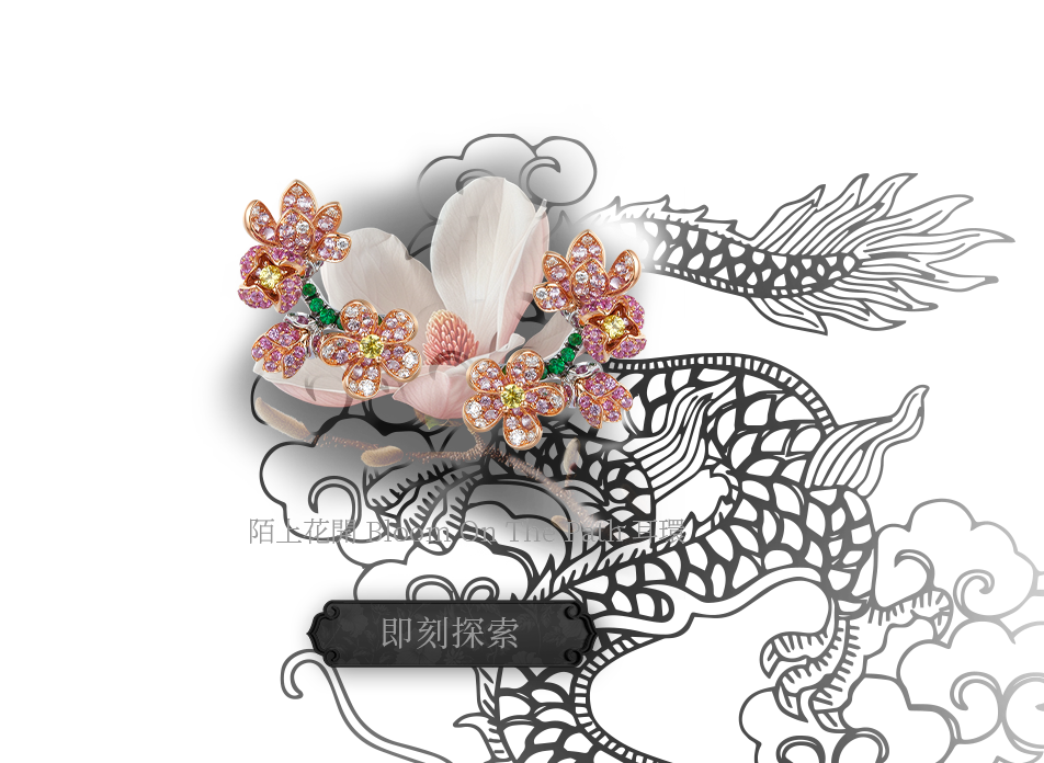 图片展示
