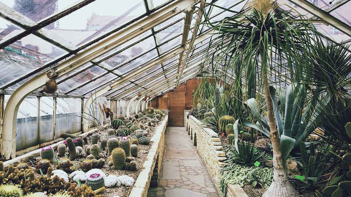 圖片展示