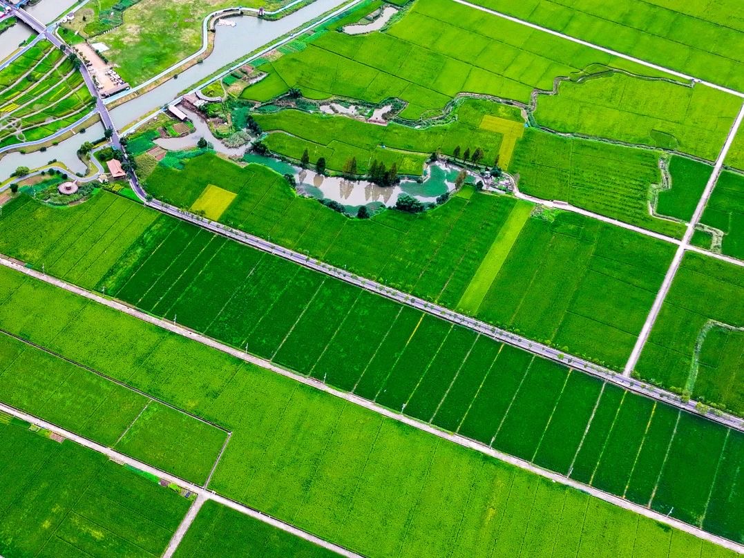 太阳成集团tyc151cc集团带你看高标准农田“高