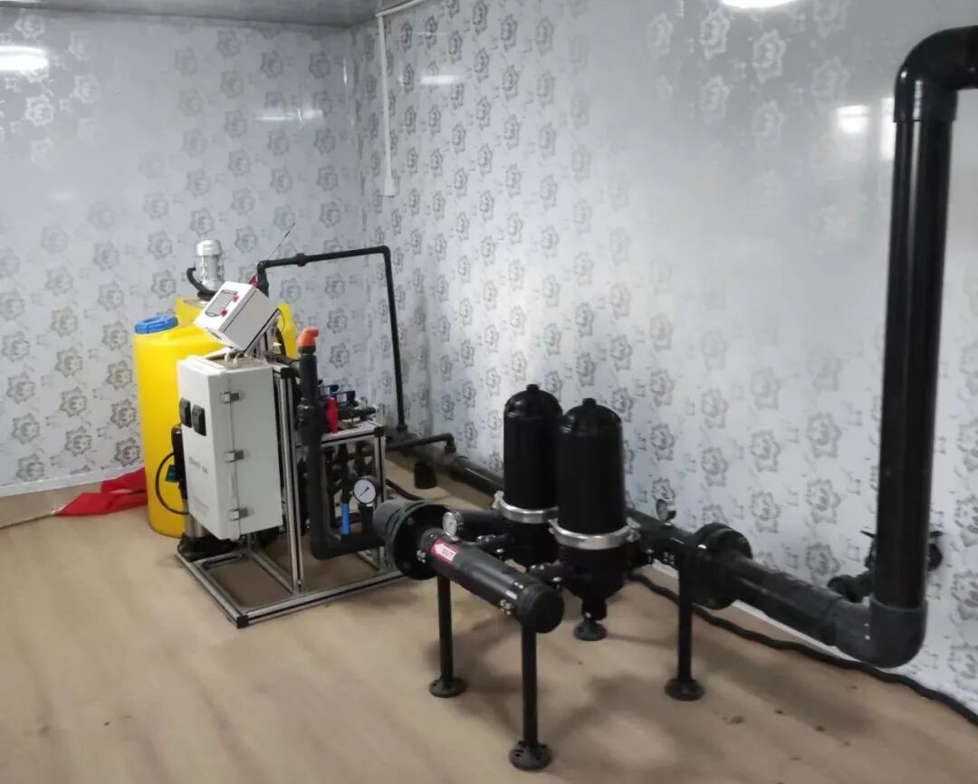 项目介绍|黑龙江省大庆市杜尔伯特绿色草原牧场高标准农田项目——玉米水肥一体化种植