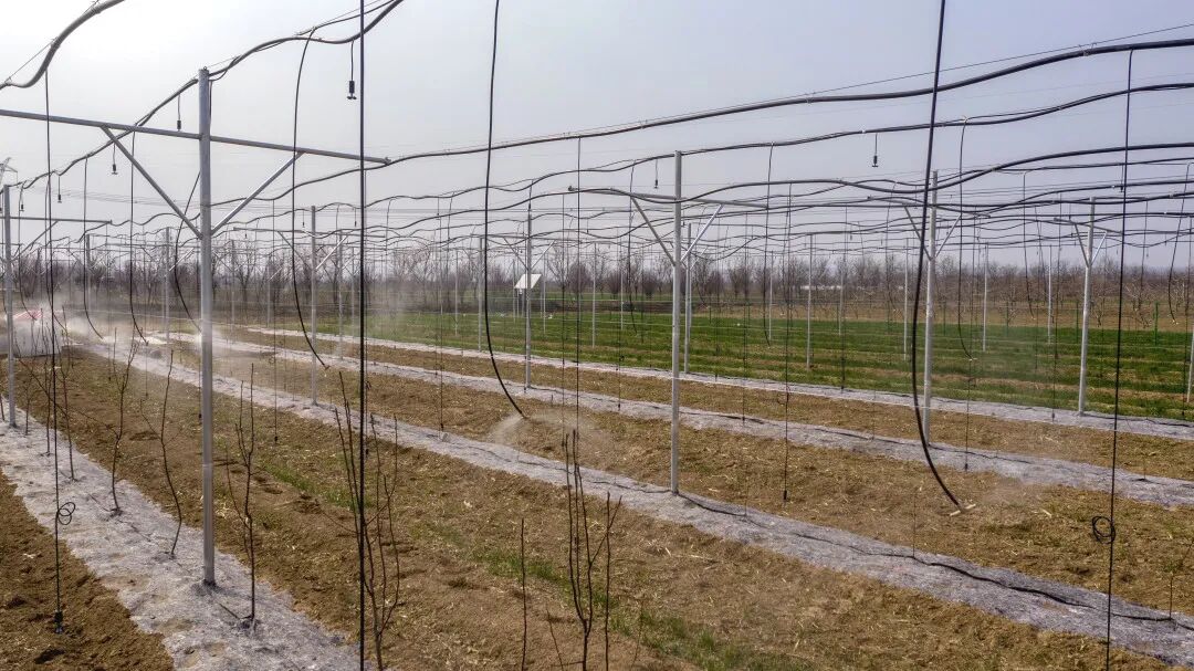 项目介绍 | 运城市盐湖区城郊农业“盐湖区冯村乡西阳村智慧灌溉”示范项目