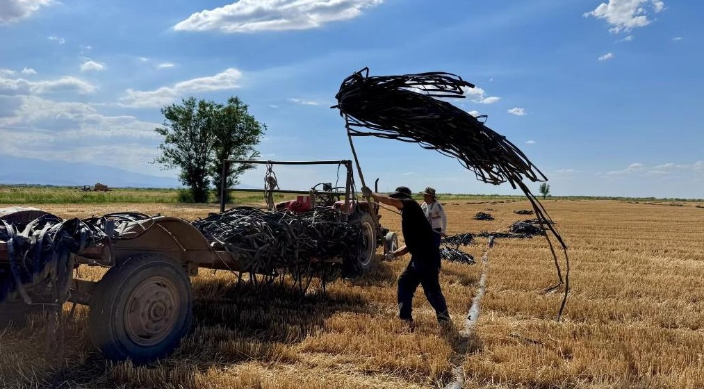 地里用完的滴灌带是要回收还是就地粉碎呢
