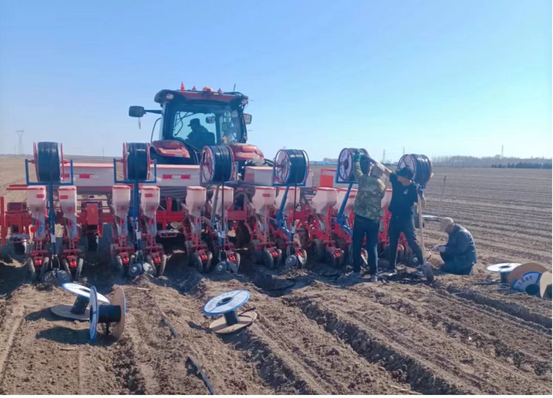 黑龙江省大庆市杜尔伯特绿色草原牧场高标准农田项目-副本