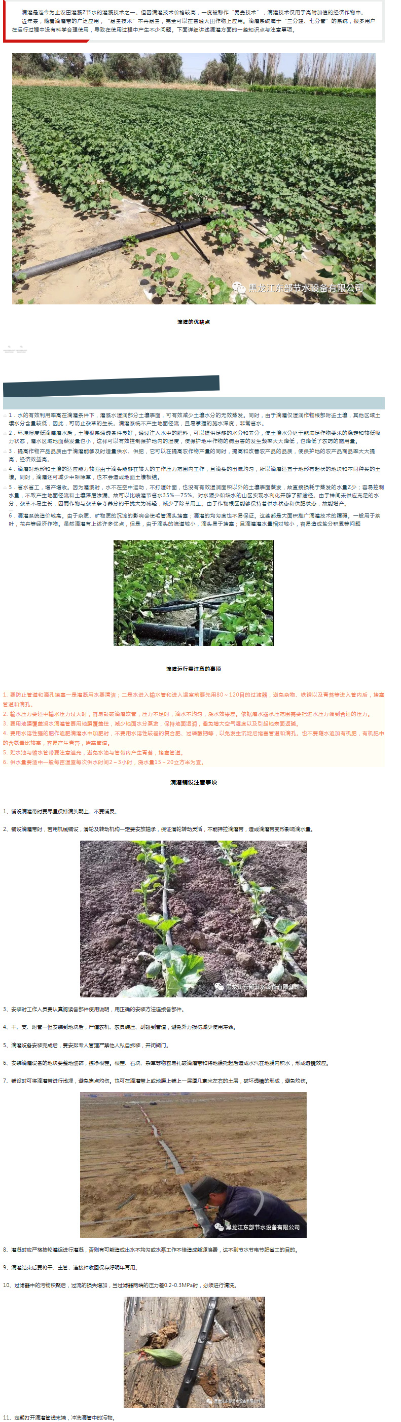 太阳成集团tyc151cc带你了解滴灌