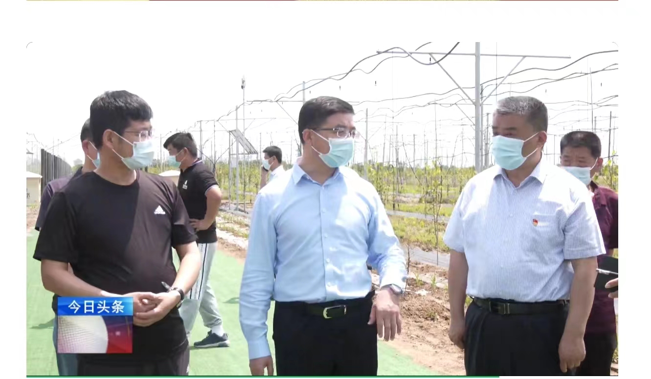 山西省运城市领导一行莅临高标准农田建设项目场地调研农业产业化发展情况