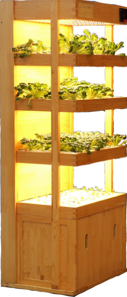 SC-01型家庭生菜机