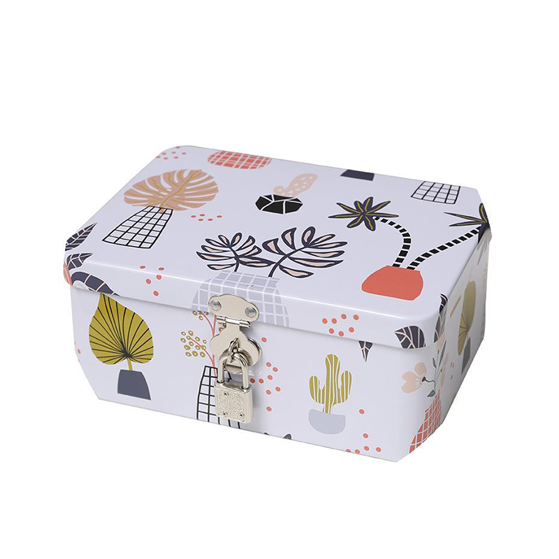 Protect Your Precious Items with a Tin Box with Lock