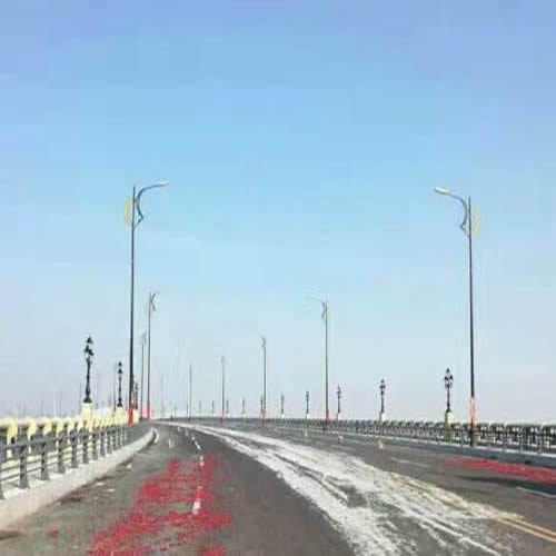 黑龙江大桥路灯照明柱头灯照明道路亮化工程