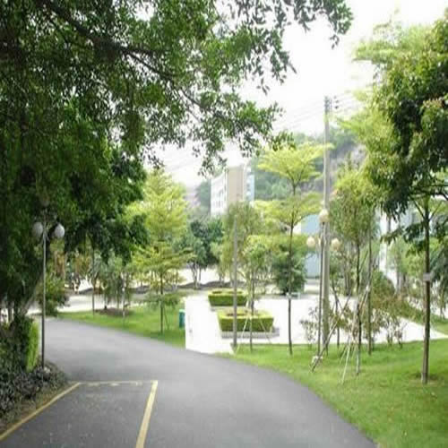 公园景观灯LED道路照明工程