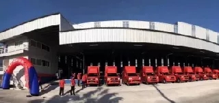 图片展示
