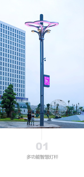 图片展示