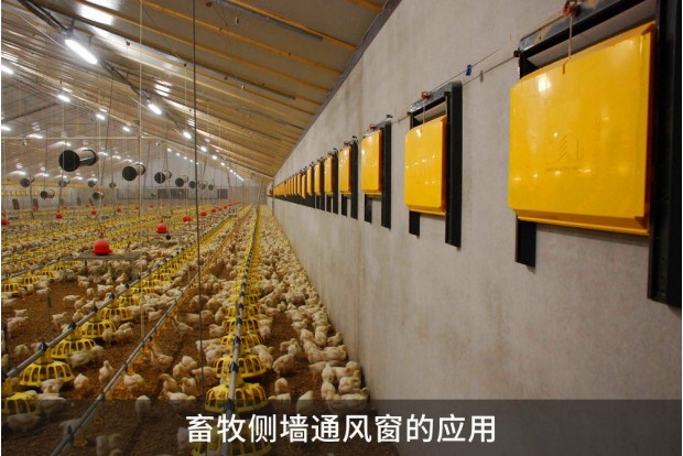 特姆优电动推杆在畜牧侧墙通风窗的应用