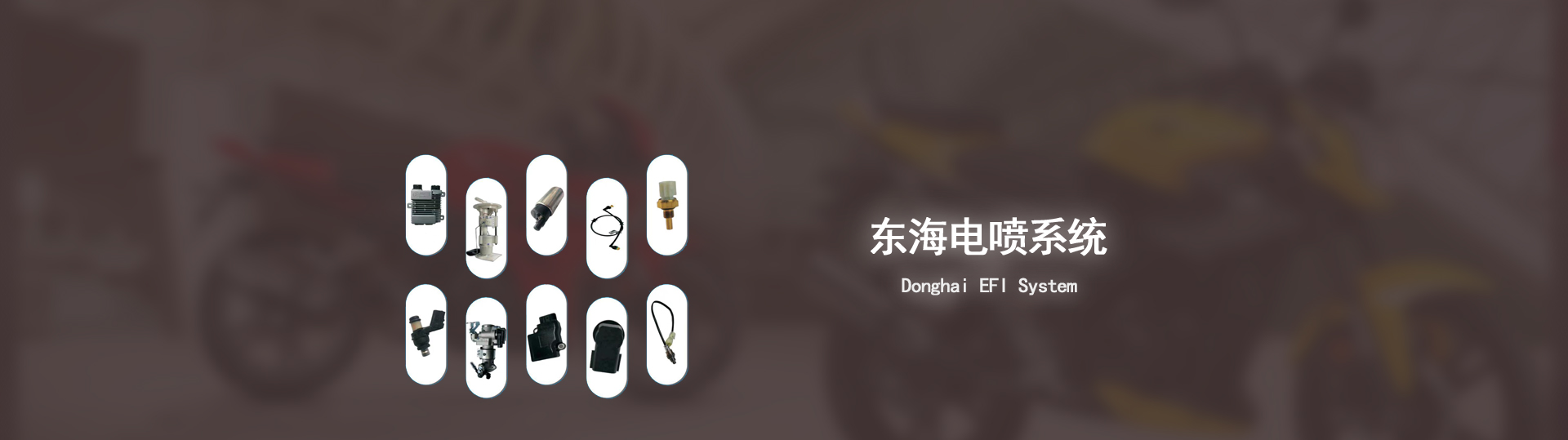 图片展示