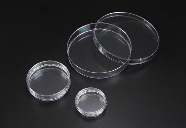 3D Cell Floater Dish