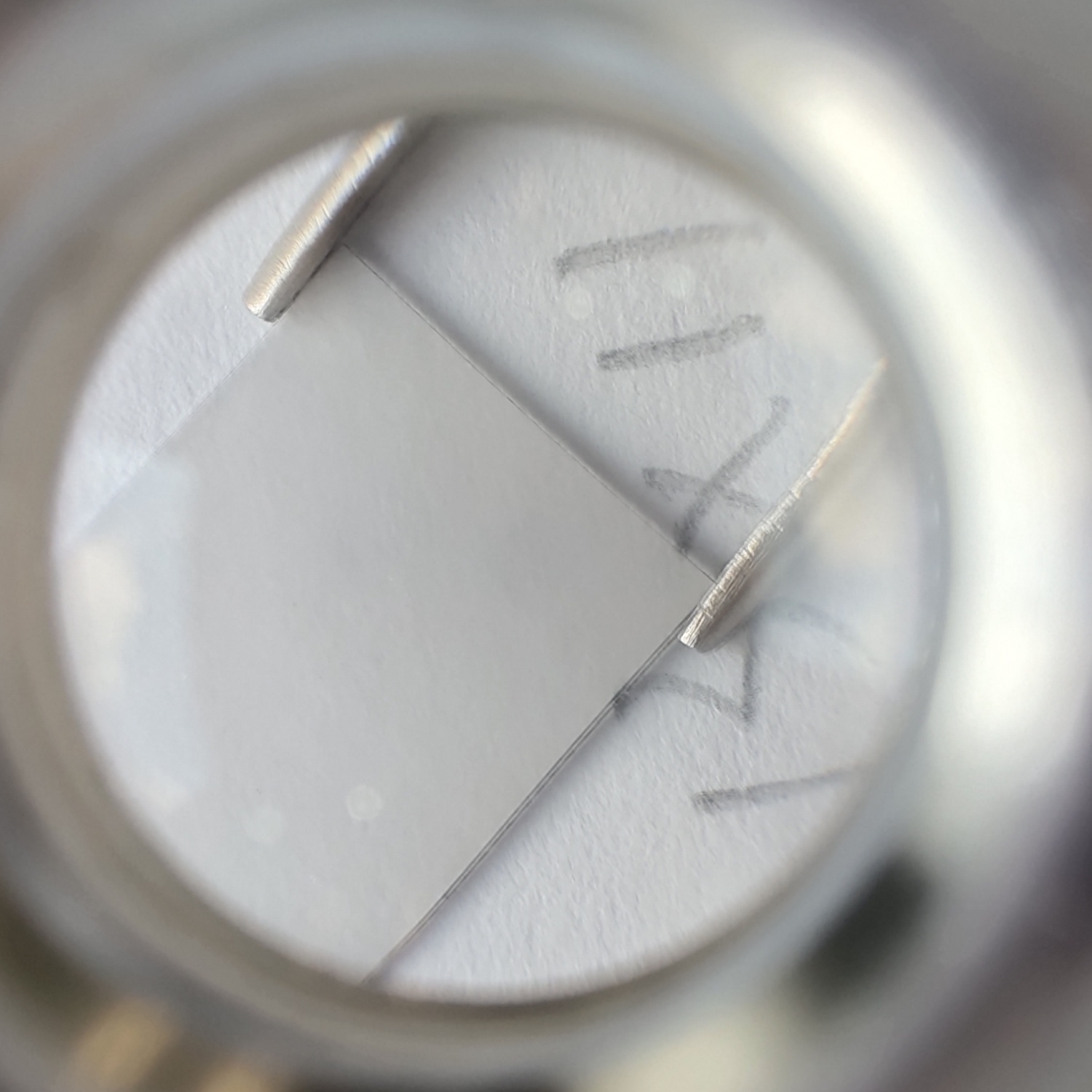 13x11x0.4mm CVD晶种