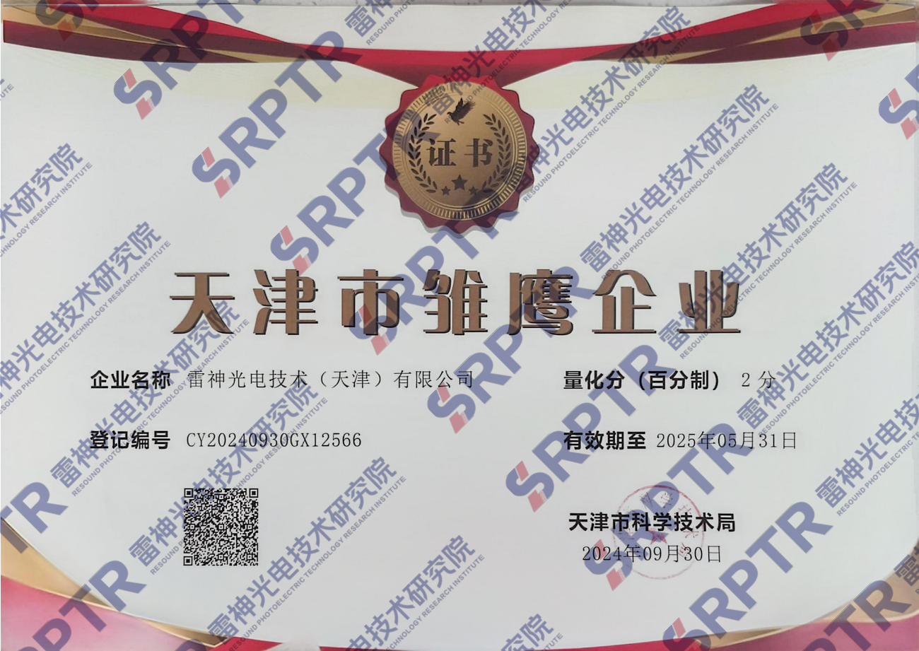 雏鹰企业