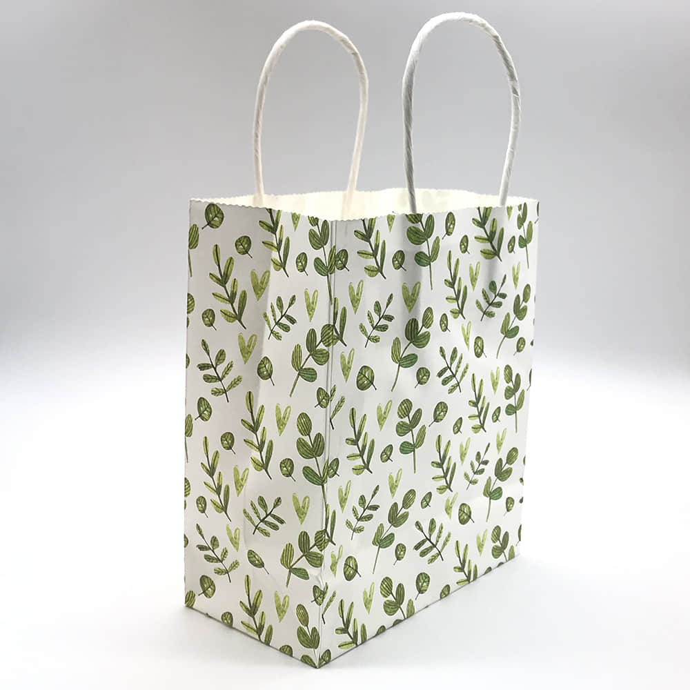 Paper Bag （38）