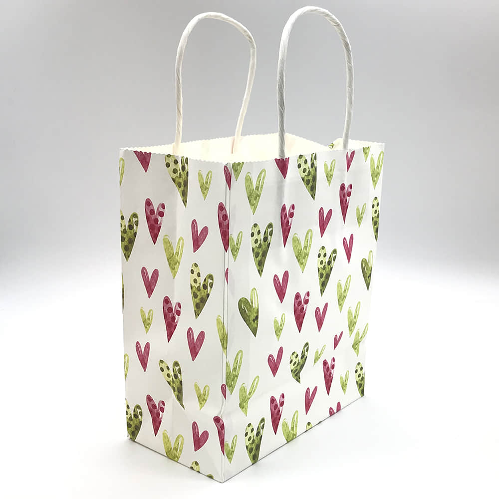 Paper Bag (47)
