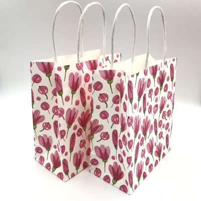 Paper Bag (54)