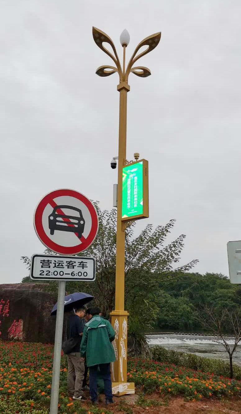 浙江衢州蓮花鎮未來社區智慧路燈項目