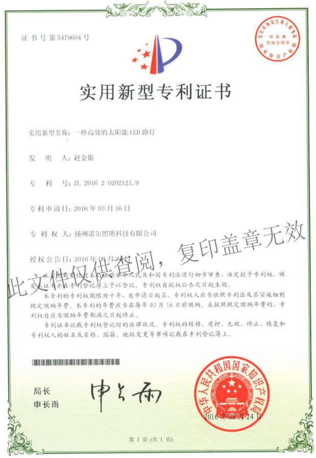 29实用新型专利（1）