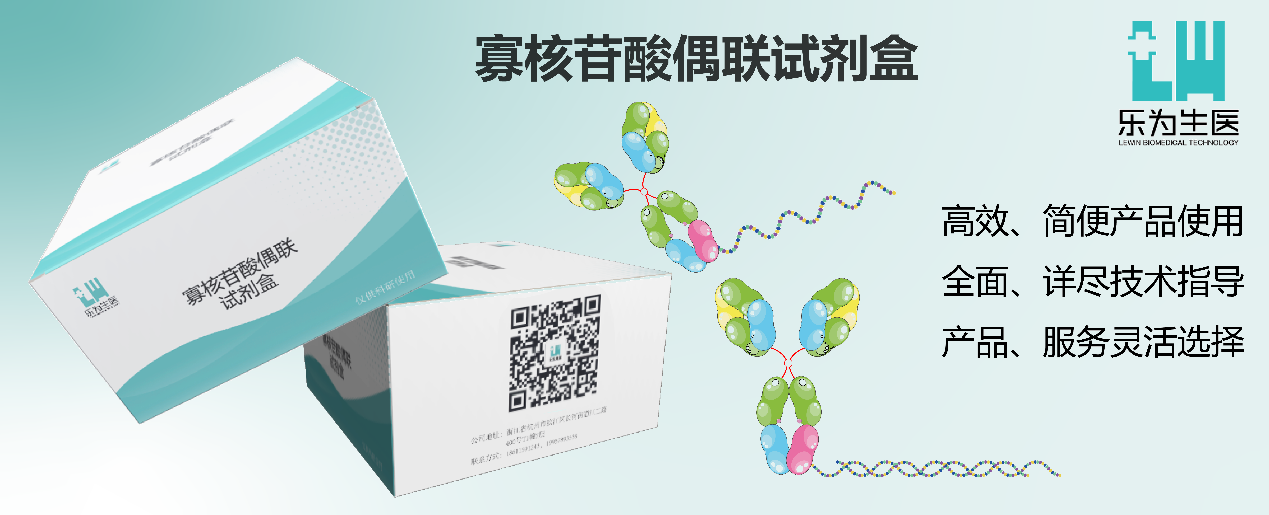 基于PLA原理的寡核苷酸探针及连接子设计方案