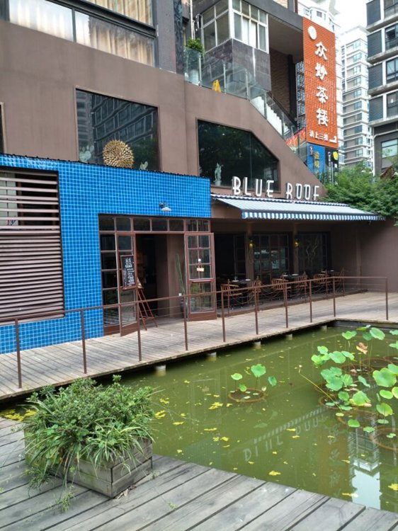 BIUE  ROOF