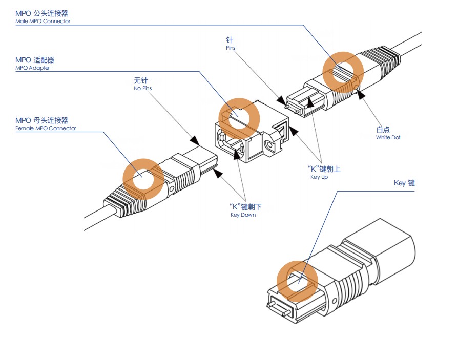 OM5 MTP Patch Cord: Usage Guidelines and Maintenance Best Practices