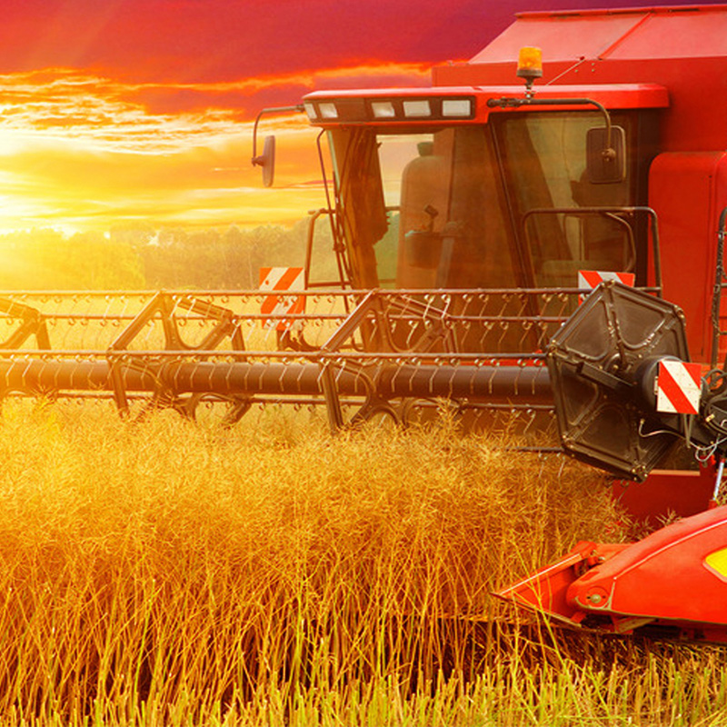 China Agricultu...