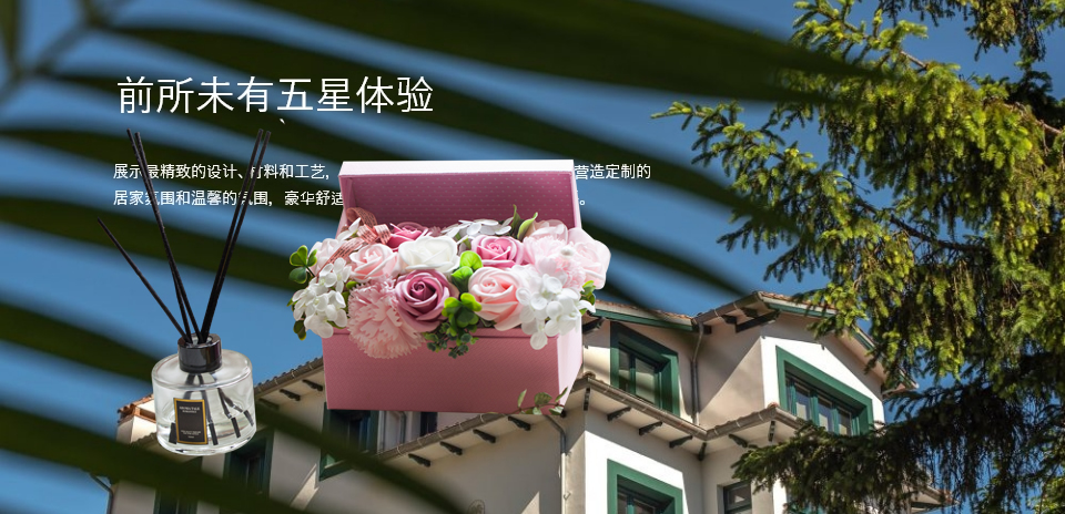图片展示