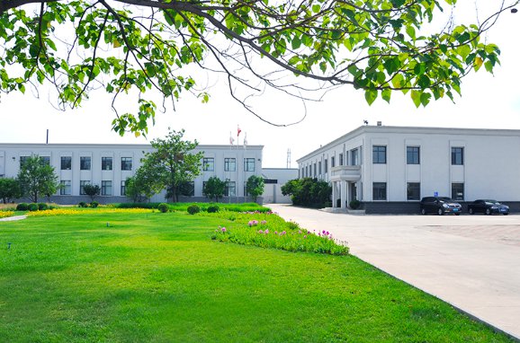 图片展示