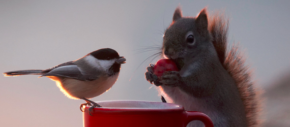 营销方案-品牌城市群站系统