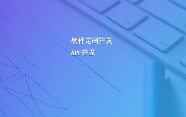 软件开发,app开发