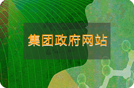 集团政府网站