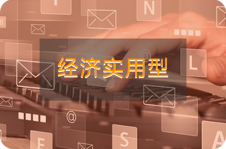 经济实用型