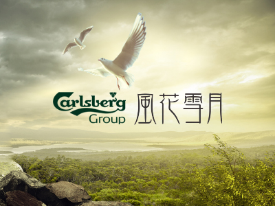 风花雪月啤酒网站建设案例欣赏