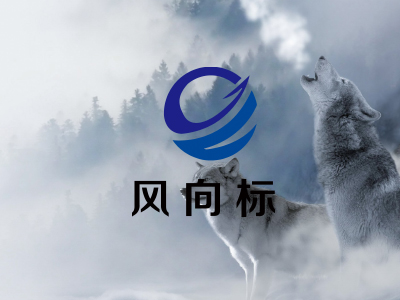 风向标传媒公司网站建设欣赏